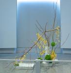 37 - Claire McCaughey.jpg 4.0K